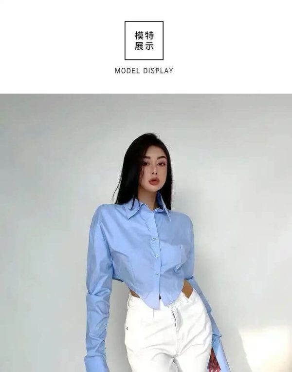 Long sleeve crop shirt